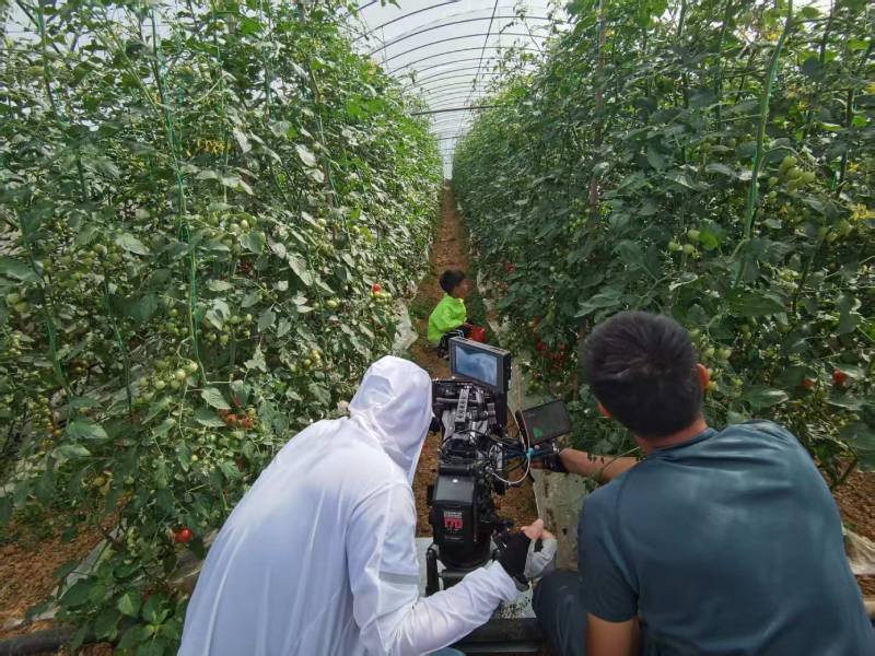 伊川县产品宣传视频拍摄公司进阶指南，助力品牌抢占传播高地